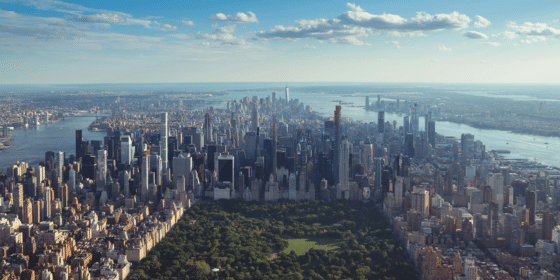 NY Wire