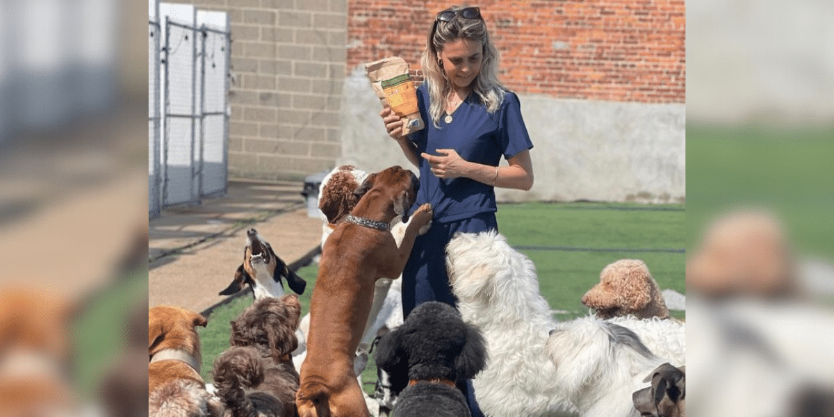 Rescue Treats®, Fur Seasons Dog Resort and Daycare: Local Businesses in Jersey City Giving Back by Supporting Dog Rescues