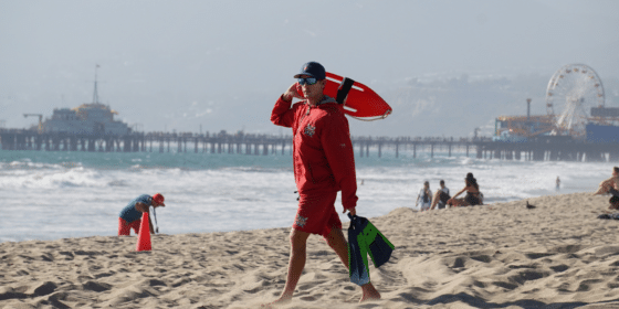 The Professionalism in Water Sports and Water Safety