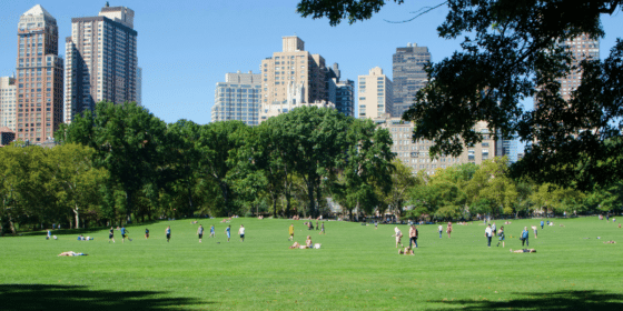 Charles Jason Jacob Features Cultivating Green Spaces in Concrete Jungles