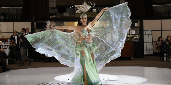 Hips Don’t Lie Dance Company Presents an Unforgettable Fusion of Dance Styles for Your USA Party – 5 Styles, One Show!