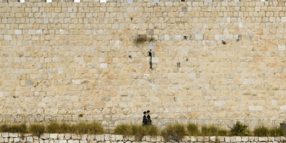 Shavei Israel Strengthening Jewish Identity and Inclusivity