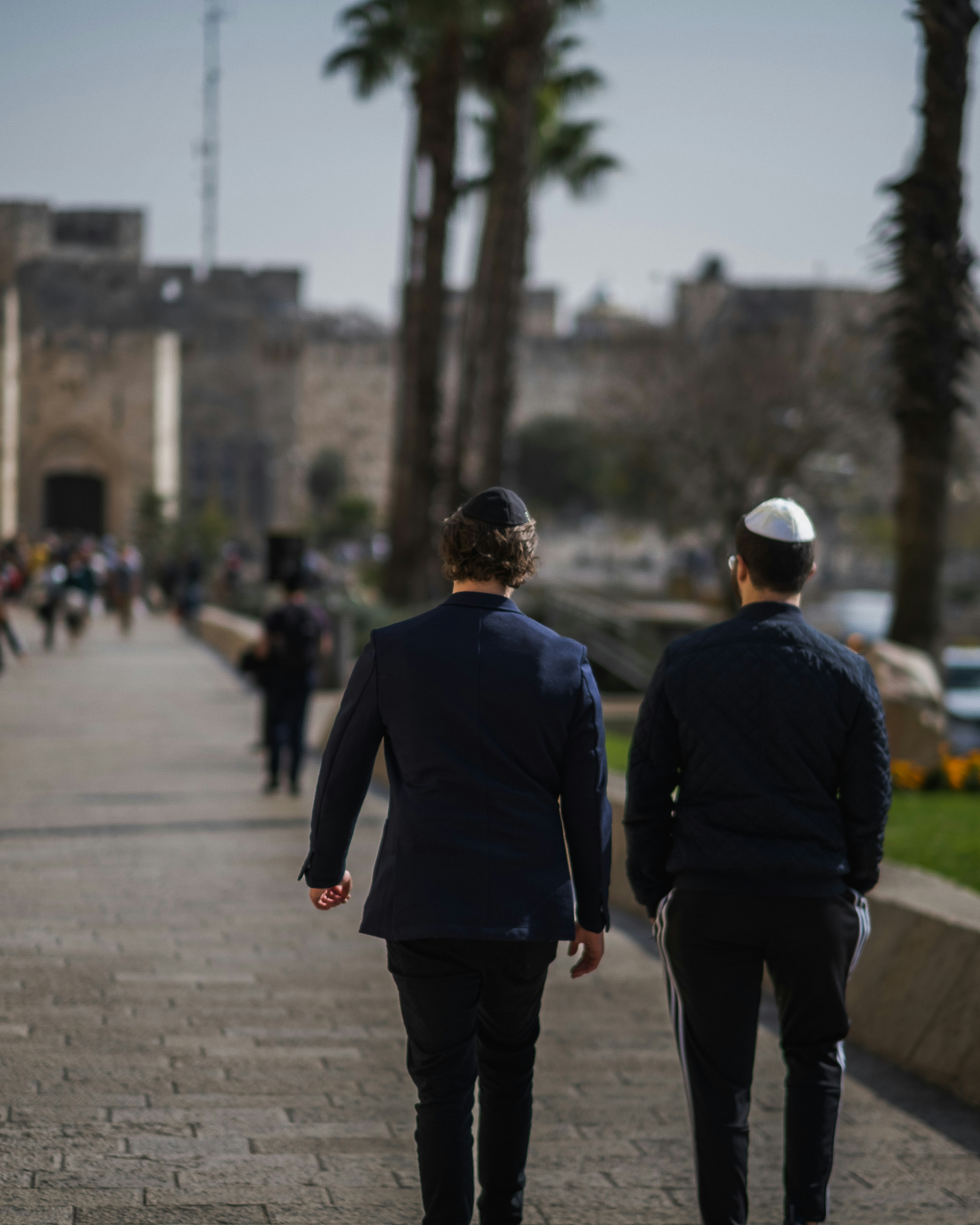 Shavei Israel Strengthening Jewish Identity and Inclusivity 