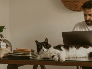 nyc man working with cat