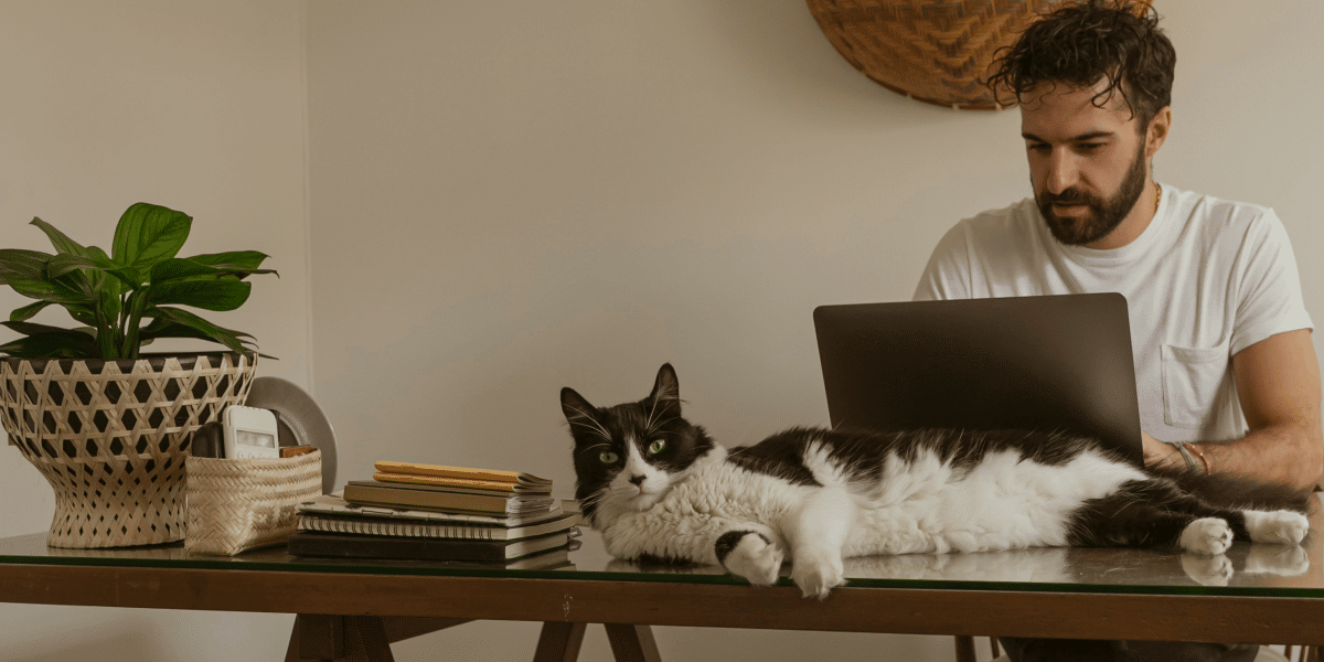 nyc man working with cat