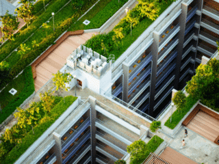 How a Rooftop Garden Can Transform an Apartment Building