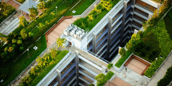 How a Rooftop Garden Can Transform an Apartment Building
