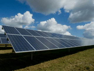 Impressive Ways Solar Panels Help the Local Environment