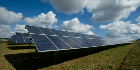 Impressive Ways Solar Panels Help the Local Environment
