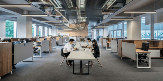Why Employee Assistance Programs Are Vital