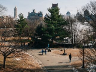 The History of Central Park: From Swampland to Iconic Landmark