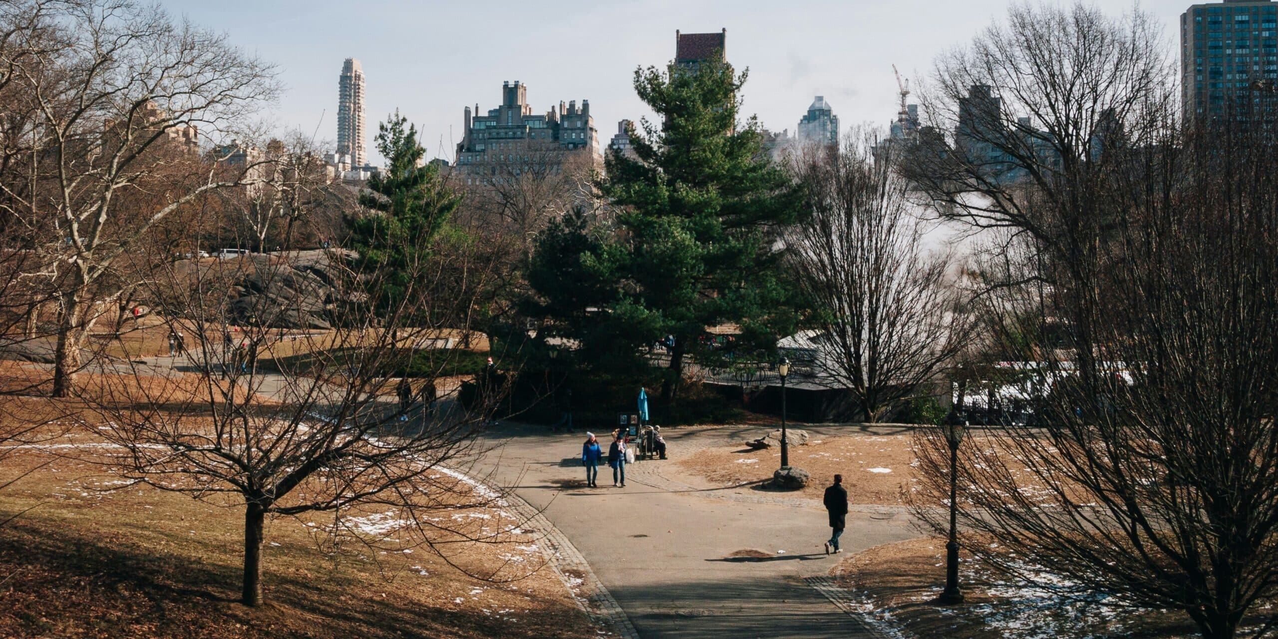 The History of Central Park: From Swampland to Iconic Landmark