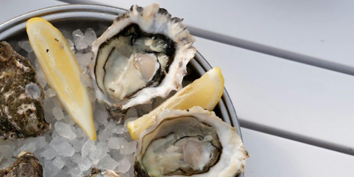 Oysters The Ultimate Food for the Brain