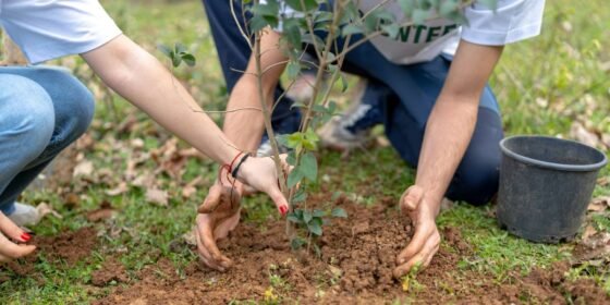 Inside the Portfolio — How Dr. Connor Robertson Designs a Purpose-Aligned Philanthropic Strategy