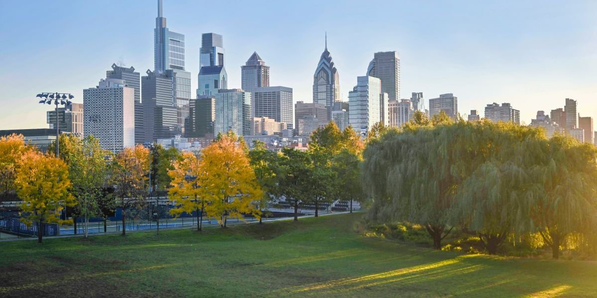 How Graasi's Organic Barley Water Aligns with NYC's Wellness Revolution