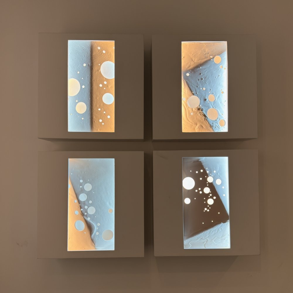 Bentley Meeker Illuminates a New Way of Seeing at Carlton Fine Arts