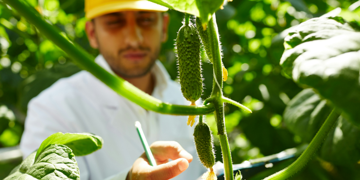 Why Agricultural Biotechnology is Key to a More Sustainable Food System