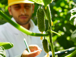 Why Agricultural Biotechnology is Key to a More Sustainable Food System