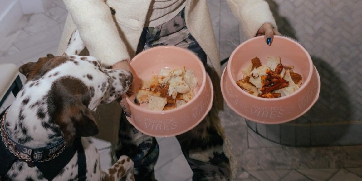 Aquarelle Introduces DOGGIE BRUNCH, a Monthly Dining Experience for NYC’s Dog-Loving Crowd