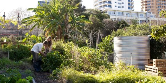 The End of the Honor System, New York Finalizes Rigorous New Climate Reporting Rules