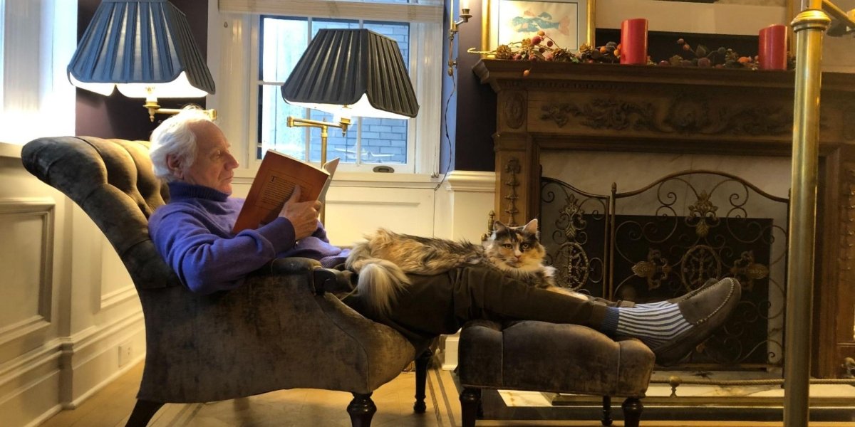 Ruin and the Quiet After the Fall