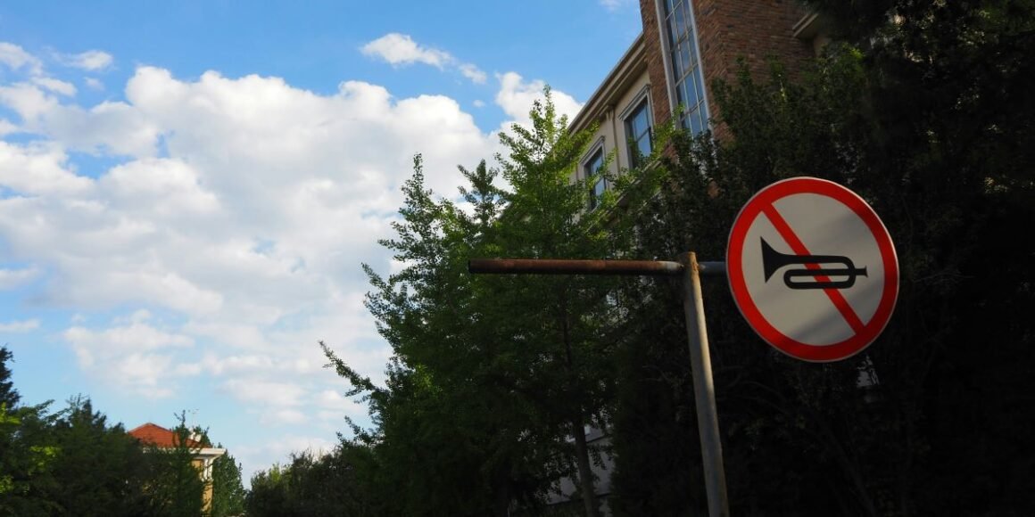 NYC Honking Ban Gets New Life as Noise Cameras Target Loud Horns