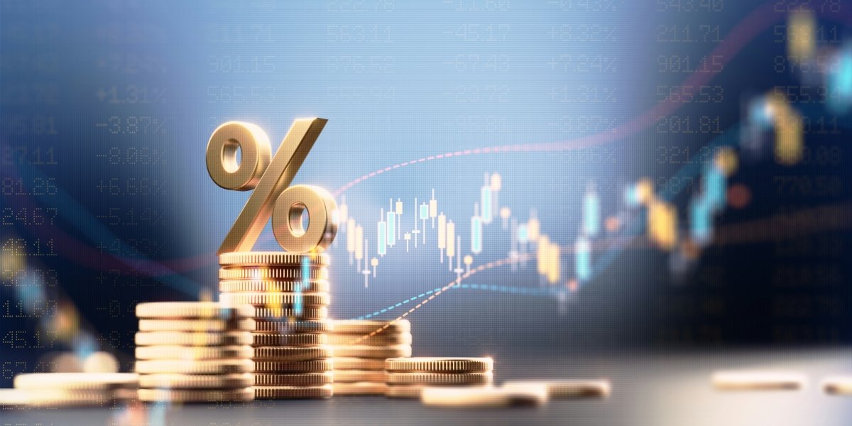 How to Choose the Right Working Capital Loan for Your Business