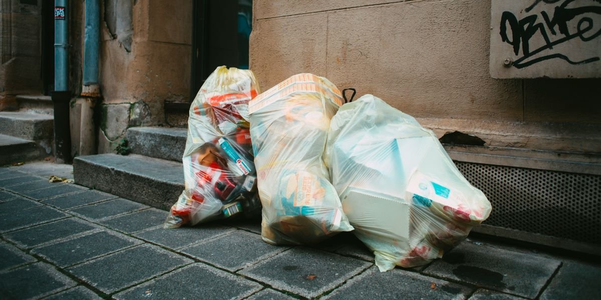 Empire Bins Arrive in Brooklyn What Building Owners in Community District 2 Need to Know