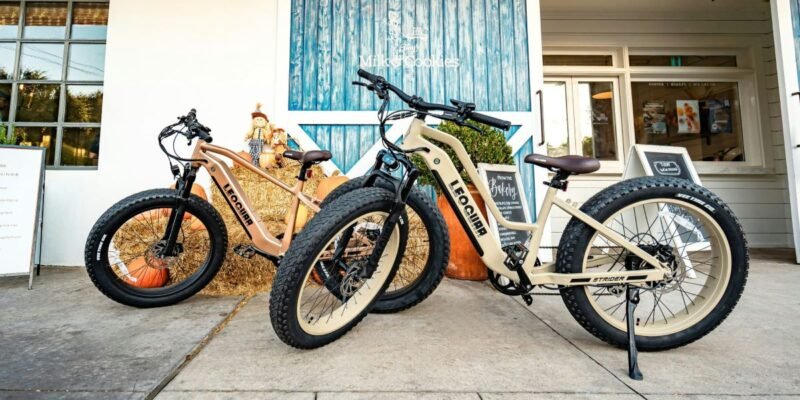 NYC Council Weighs 23 E-Bike and Micromobility Bills in Record Joint Hearing
